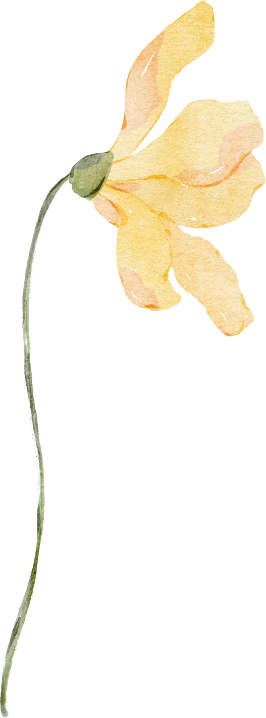 Watercolor yellow wildflower